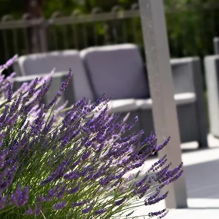 Logis Restaurant Les Oliviers Hotel Loriol-sur-Drome