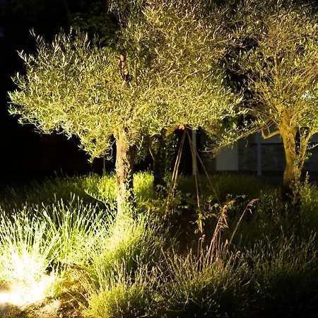 Logis Restaurant Les Oliviers Loriol-sur-Drome