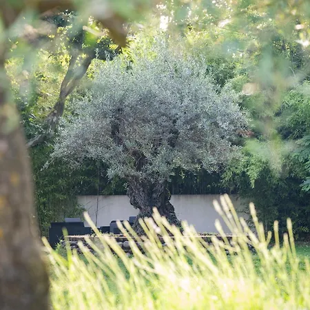 Hotel Logis Restaurant Les Oliviers